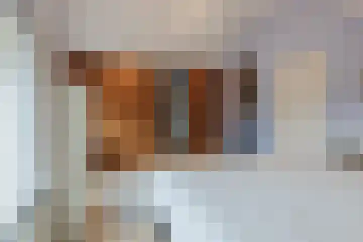 Oude Antwerpsepostbaan 67 Hoeven thumbnail 34
