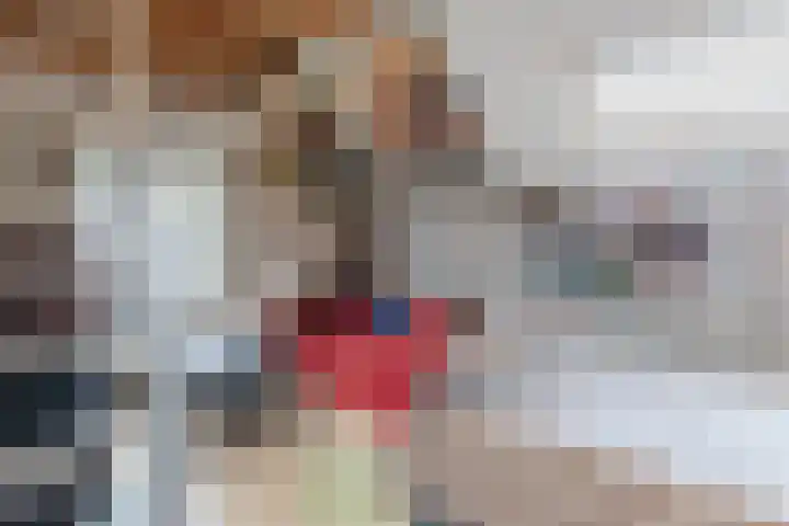 Oude Antwerpsepostbaan 67 Hoeven thumbnail 37