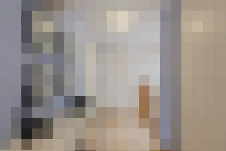 Oude Antwerpsepostbaan 67 Hoeven thumbnail 43