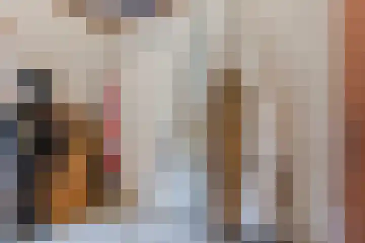 Oude Antwerpsepostbaan 67 Hoeven thumbnail 50