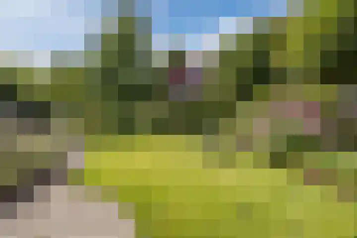 Oude Antwerpsepostbaan 67 Hoeven thumbnail 61