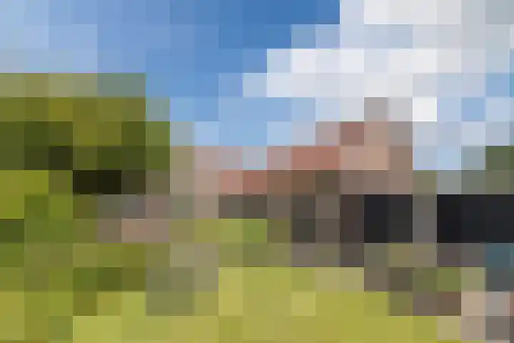 Oude Antwerpsepostbaan 67 Hoeven thumbnail 63