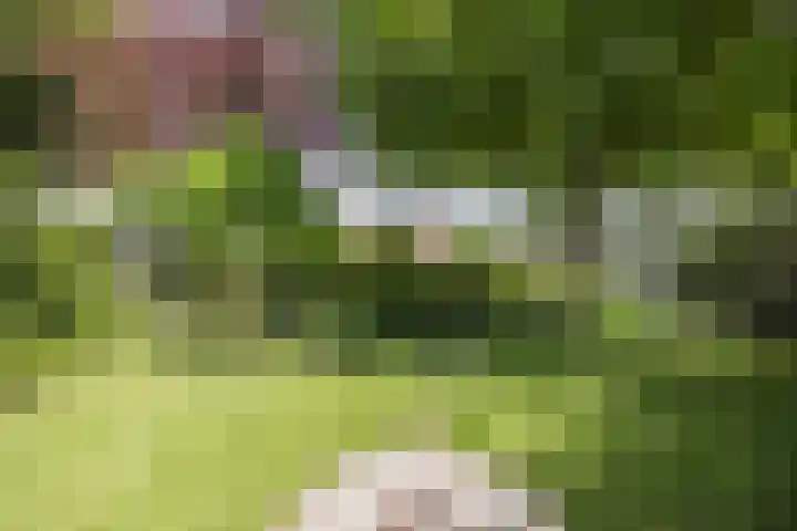Oude Antwerpsepostbaan 67 Hoeven thumbnail 64