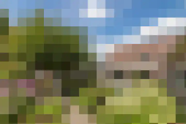 Oude Antwerpsepostbaan 67 Hoeven thumbnail 65