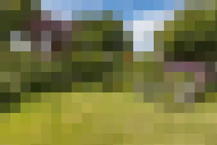 Oude Antwerpsepostbaan 67 Hoeven thumbnail 66