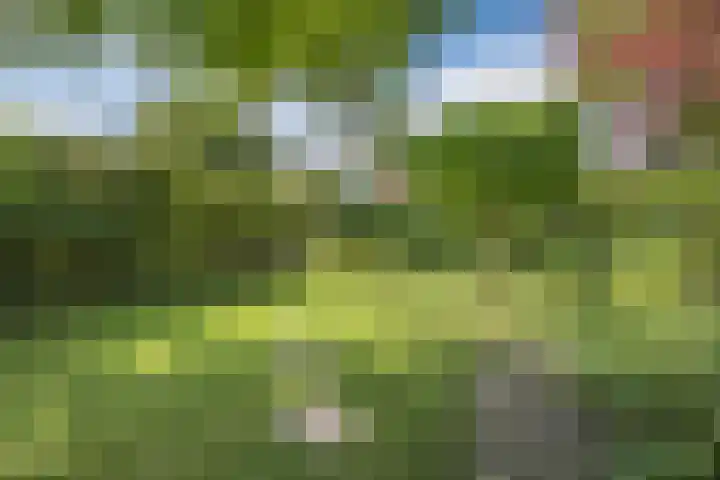 Oude Antwerpsepostbaan 67 Hoeven thumbnail 70