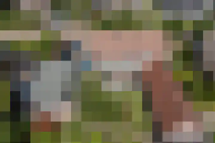 Oude Antwerpsepostbaan 67 Hoeven thumbnail 74