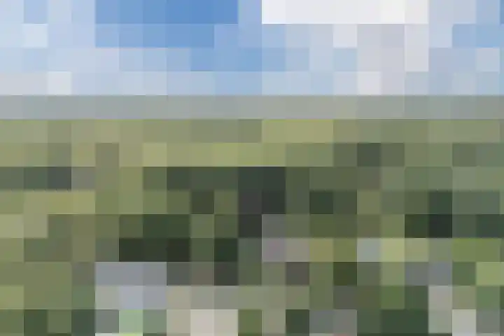 Oude Antwerpsepostbaan 67 Hoeven thumbnail 77