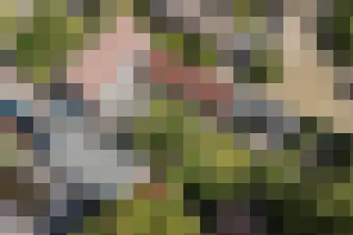 Oude Antwerpsepostbaan 67 Hoeven thumbnail 9