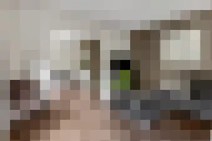 Oude Arnhemseweg 42 Ede thumbnail 5