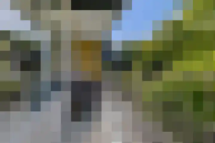 Oude Arnhemseweg 42 Ede thumbnail 9