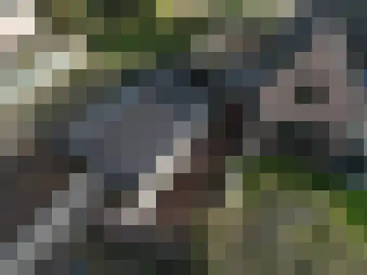 Oude Baan 10 b Wernhout thumbnail 24