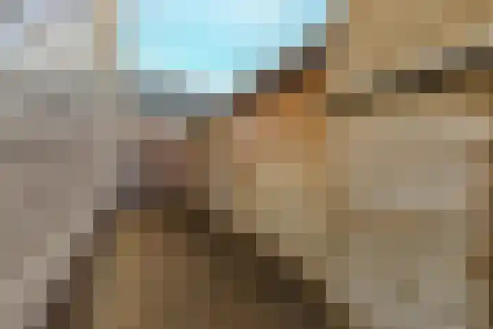 Oude Baan 10 b Wernhout thumbnail 25