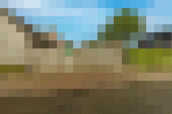 Oude Baan 10 b Wernhout thumbnail 28