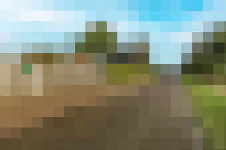 Oude Baan 10 b Wernhout thumbnail 30