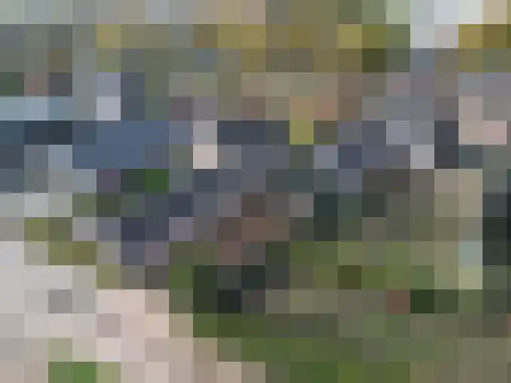 Oude Baan 10 b Wernhout thumbnail 36
