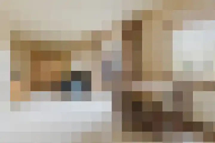 Oude Baan 10 b Wernhout thumbnail 9