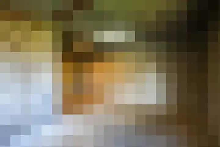 Oude Baan 13 C Wittem thumbnail 16