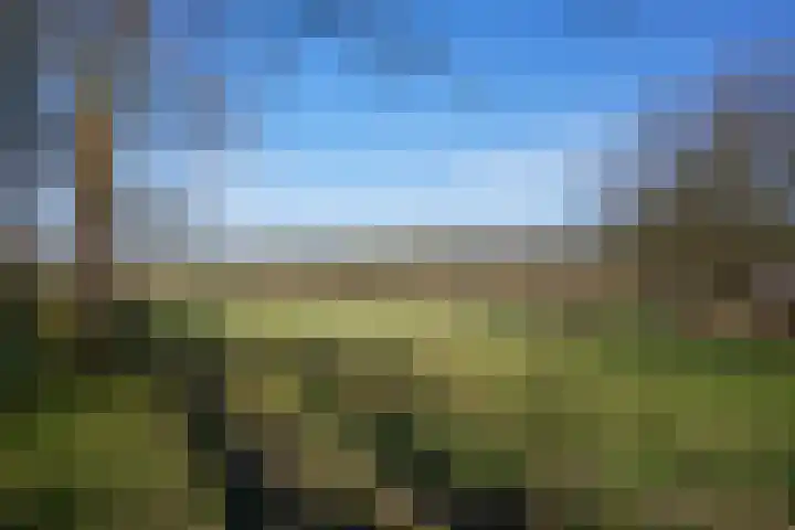 Oude Baan 13 C Wittem thumbnail 38