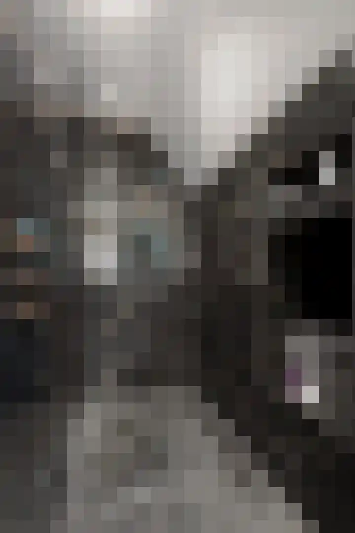 Oude Baan 2 B Geffen thumbnail 24
