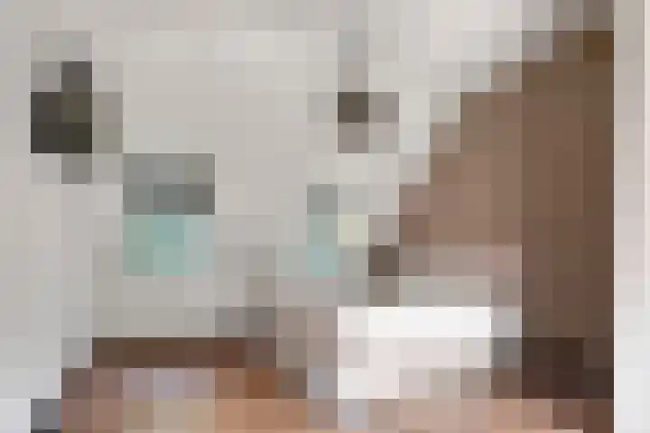 Oude Baan 2 B Geffen thumbnail 31