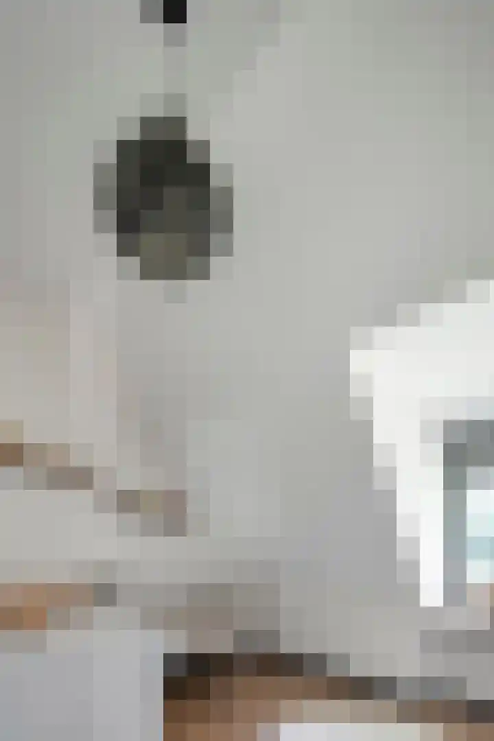 Oude Baan 2 B Geffen thumbnail 34