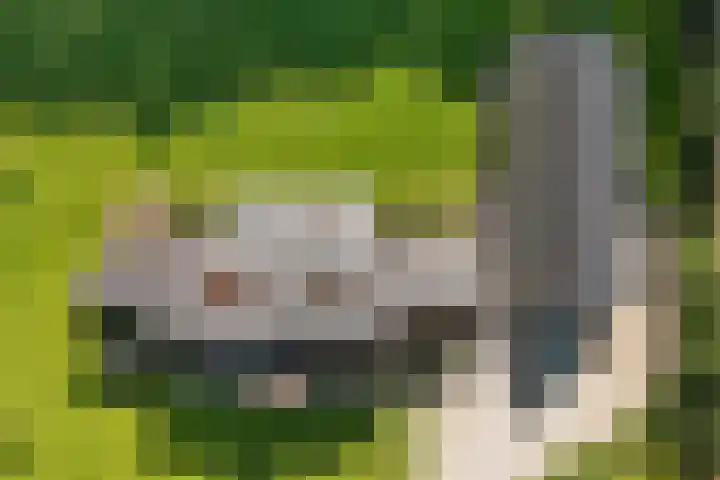 Oude Baan 2 B Geffen thumbnail 48