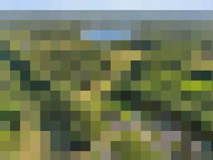 Oude Baan 2 B Geffen thumbnail 5