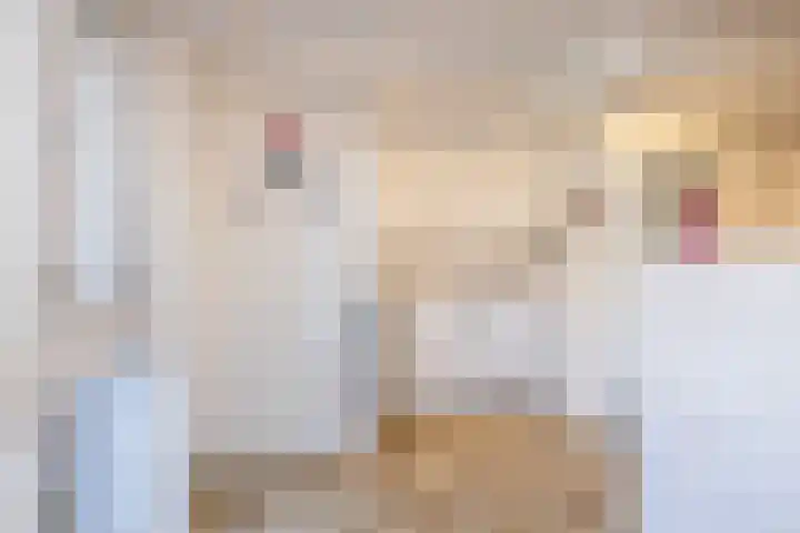 Oude Baan 39 Buchten thumbnail 34