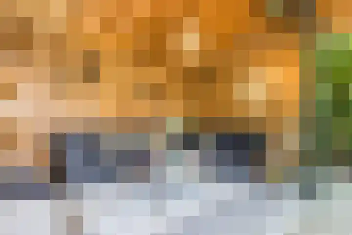 Oude Baan 39 Buchten thumbnail 4