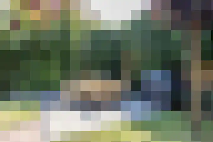 Oude Baan 39 Buchten thumbnail 43