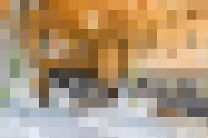 Oude Baan 39 Buchten thumbnail 46