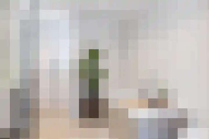 Oude Baan 39 Buchten thumbnail 53