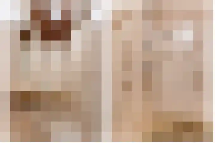 Oude Baan 56 Reuver thumbnail 25