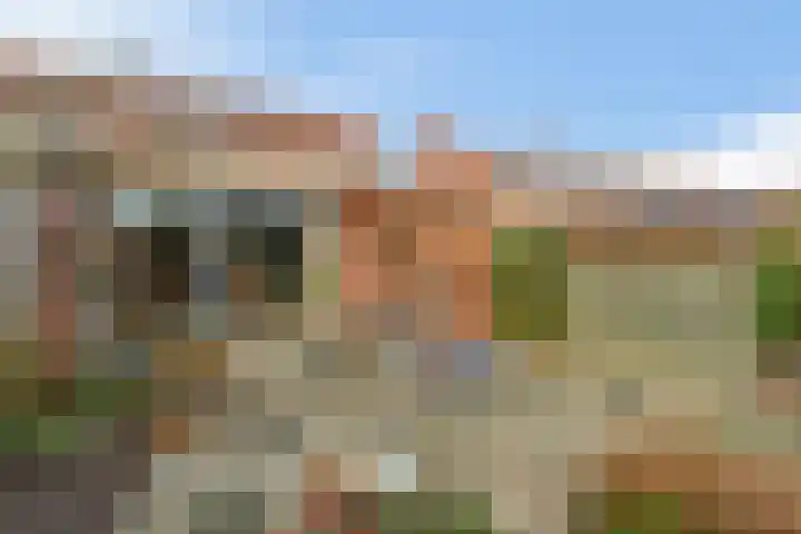 Oude Baan 56 Reuver thumbnail 27
