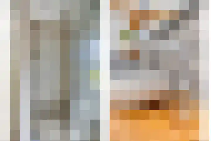 Oude Baan 74 Dongen thumbnail 25