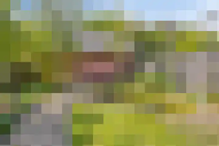 Oude Baan 74 Dongen thumbnail 32