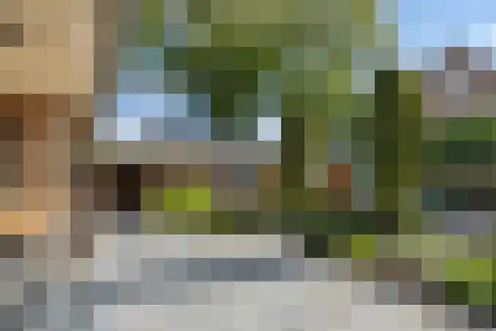 Oude Baan 93 Rosmalen thumbnail 32