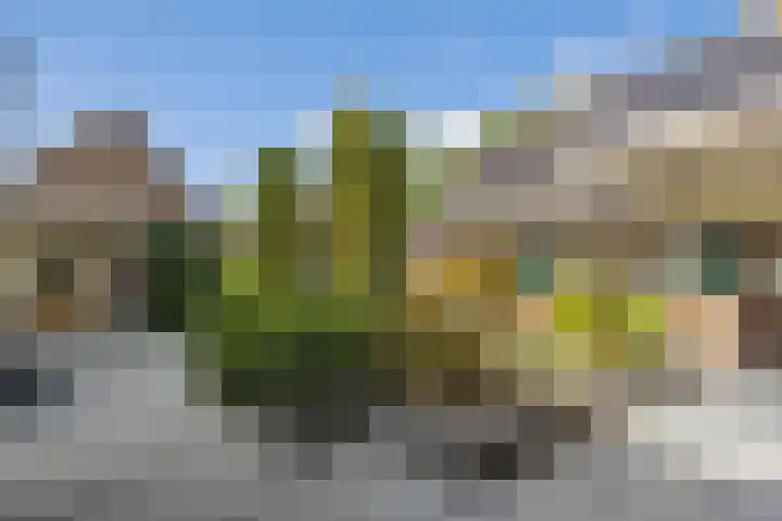Oude Baan 93 Rosmalen thumbnail 35