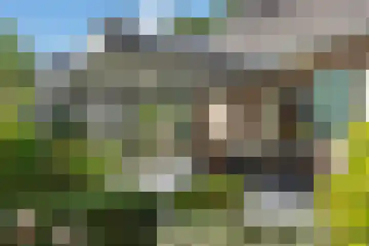 Oude Baan 93 Rosmalen thumbnail 36
