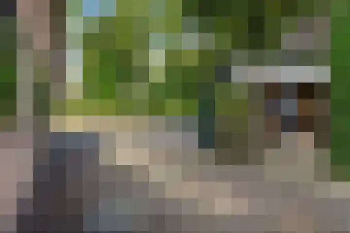 Oude Baan 93 Rosmalen thumbnail 45