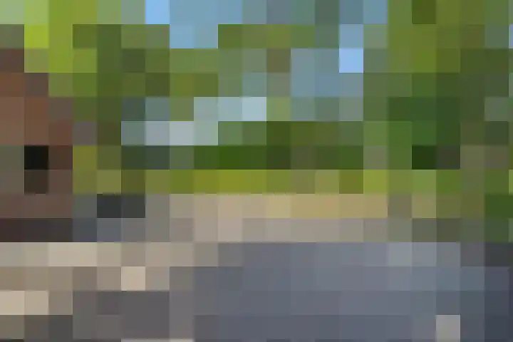 Oude Baan 93 Rosmalen thumbnail 46