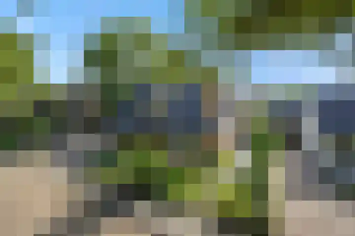 Oude Baan 93 Rosmalen thumbnail 49