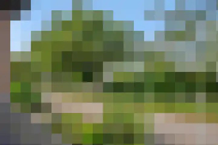 Oude Baan 93 Rosmalen thumbnail 54