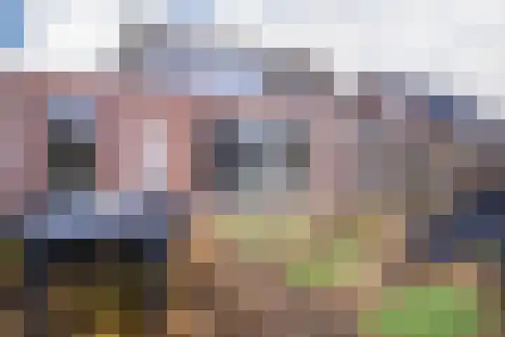 Oude Bongerd 20 Arnhem thumbnail 23
