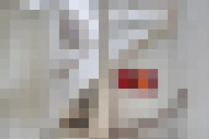 Oude Bongerd 30 Arnhem thumbnail 31