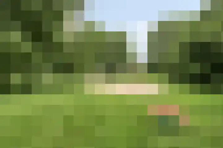 Oude Bongerd 30 Arnhem thumbnail 43