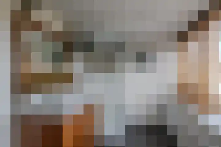 Oude Boterdijk 42 Heumen thumbnail 31