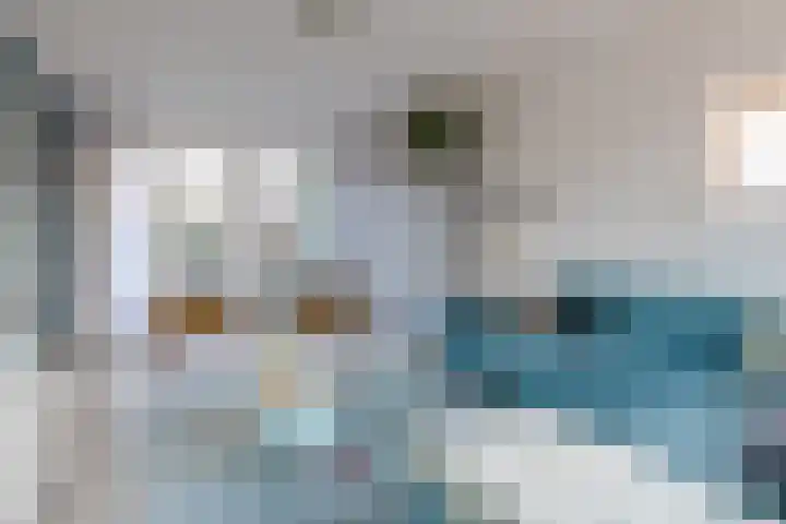 Oude Boterdijk 42 Heumen thumbnail 4