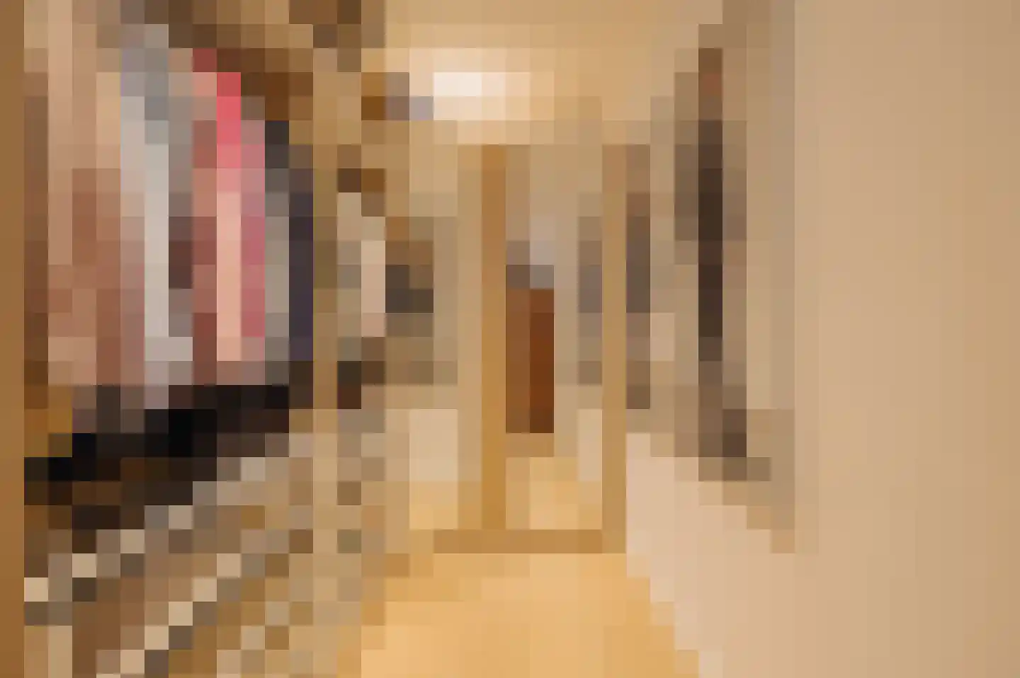Oude Braak 19 B Amsterdam thumbnail 26